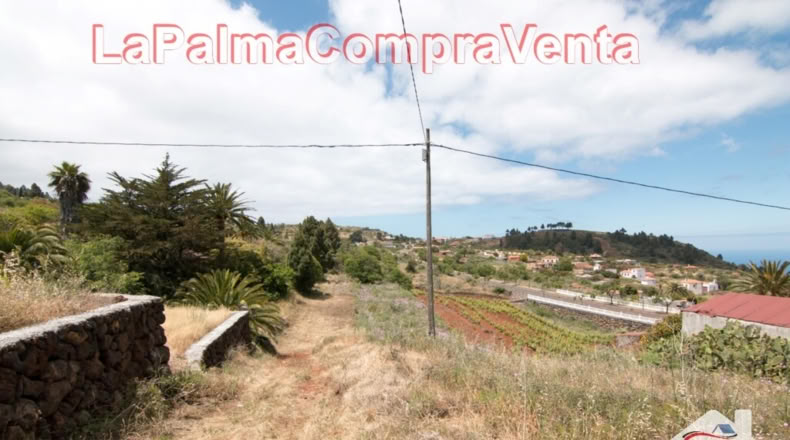 Santa Cruz de Tenerife - El Pinar - 2512m2