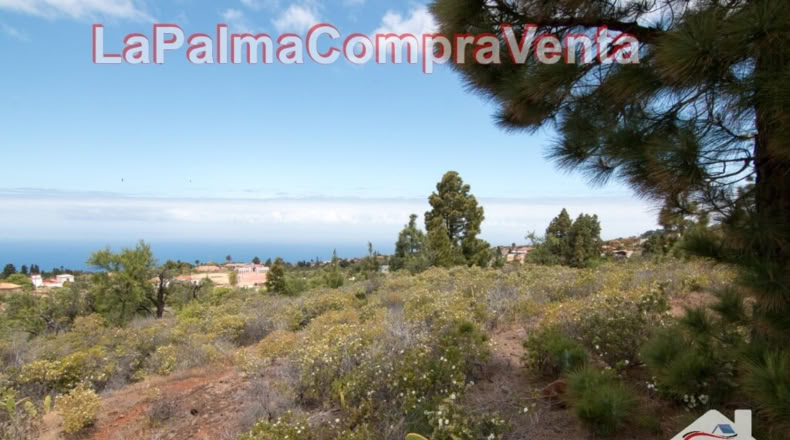 Santa Cruz de Tenerife - El Pinar - 2512m2