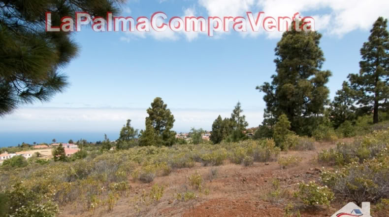 Santa Cruz de Tenerife - El Pinar - 2512m2