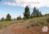Terreno no urbanizable en venta en Puntagorda ref: TR57803 foto