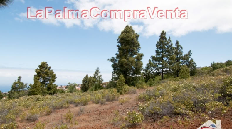 Santa Cruz de Tenerife - El Pinar - 2512m2