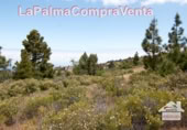 Terreno no urbanizable en venta en Puntagorda ref: TR57803 foto