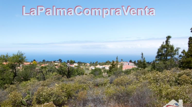 Santa Cruz de Tenerife - El Pinar - 2512m2