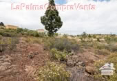 Terreno no urbanizable en venta en Puntagorda ref: TR57803 foto