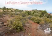 Terreno no urbanizable en venta en Puntagorda ref: TR57803 foto