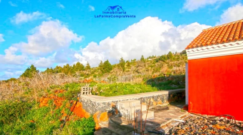Santa Cruz de Tenerife - Bellido - 4114m2