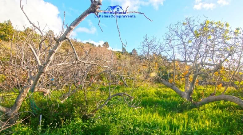 Santa Cruz de Tenerife - Bellido - 4114m2