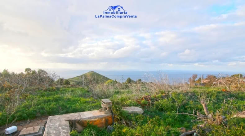 Santa Cruz de Tenerife - Bellido - 4114m2