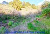 Terreny no urbanitzable en venda a Puntagorda ref.: TR70694 foto