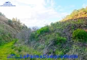 Terreny no urbanitzable en venda a Puntagorda ref.: TR70694 foto