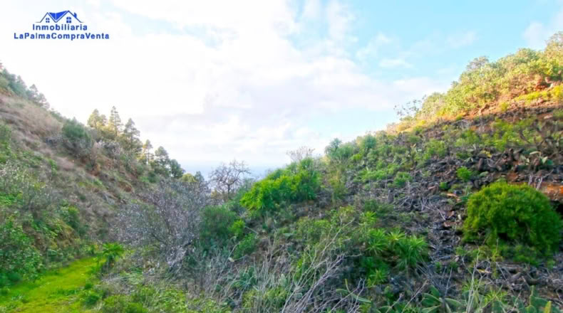 Santa Cruz de Tenerife - Bellido - 5460m2