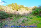 Terreny no urbanitzable en venda a Puntagorda ref.: TR70694 foto