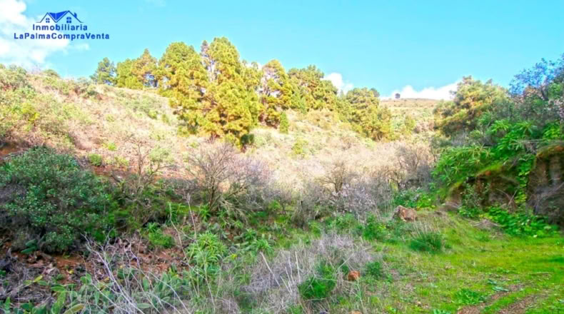 Santa Cruz de Tenerife - Bellido - 5460m2