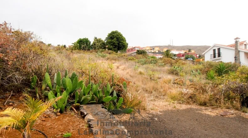 Santa Cruz de Tenerife - Buenavista de Abajo - 500m2