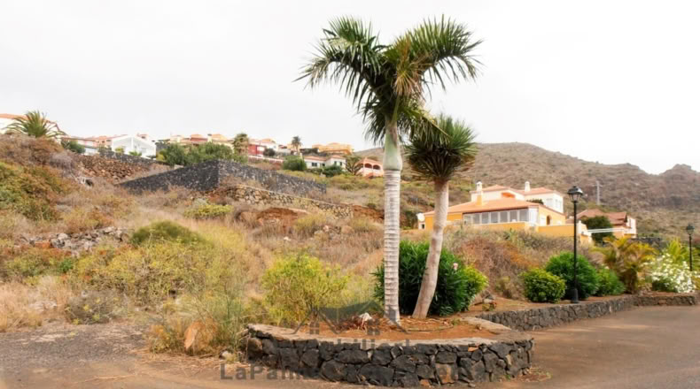 Santa Cruz de Tenerife - Buenavista de Abajo - 500m2