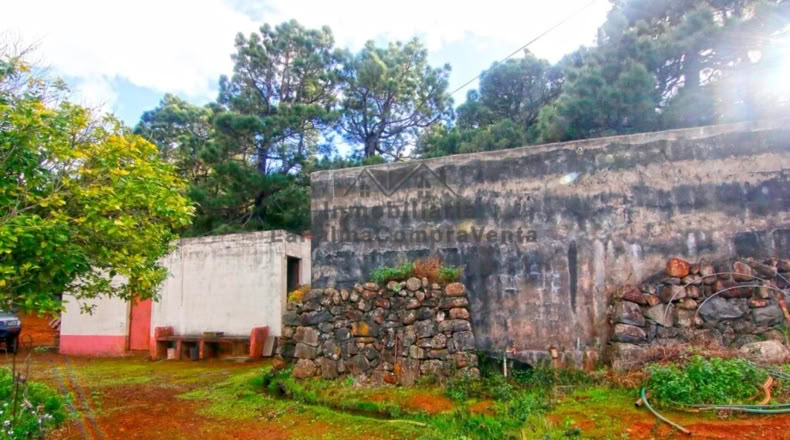 Santa Creu de Tenerife - Santo Domingo de Garafía - 4552m2