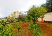 Masia amb terreny en venda a Llano Negro ref.: TR100678 foto