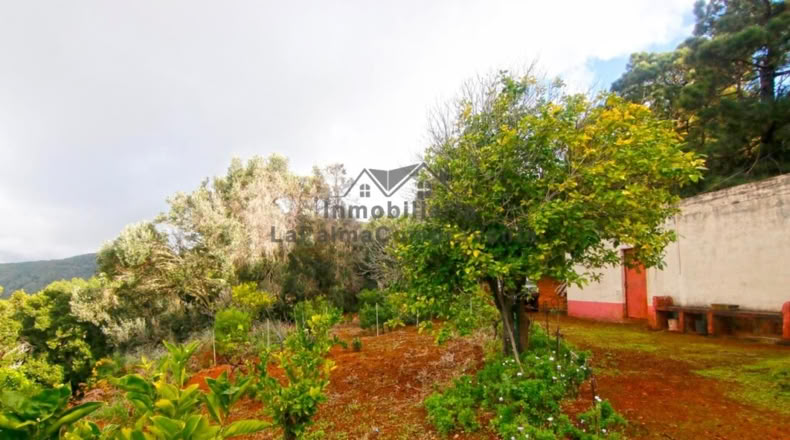 Santa Creu de Tenerife - Santo Domingo de Garafía - 4552m2