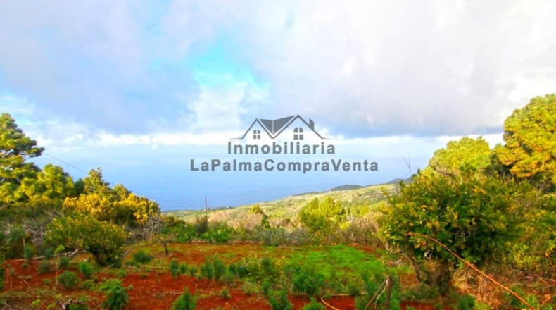Santa Creu de Tenerife - Santo Domingo de Garafía - 4552m2