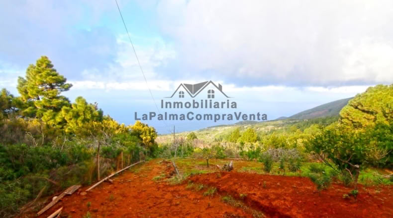 Santa Creu de Tenerife - Santo Domingo de Garafía - 4552m2