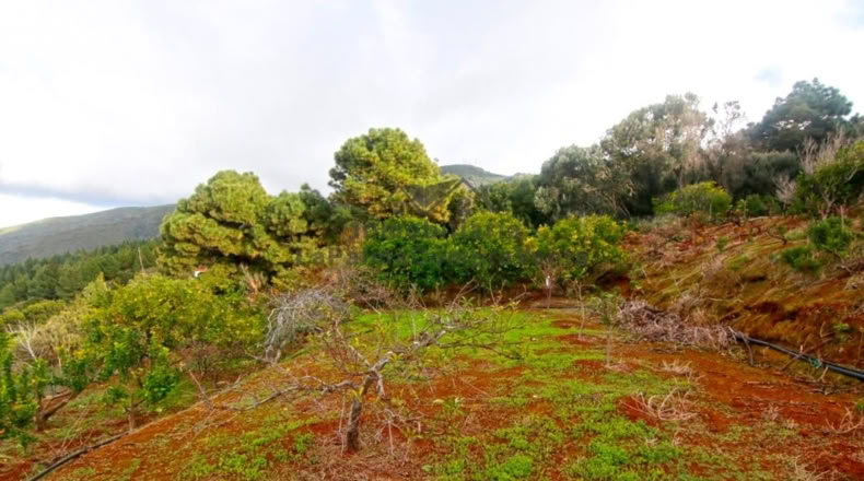 Santa Creu de Tenerife - Santo Domingo de Garafía - 4552m2