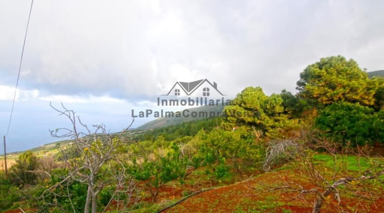 Santa Creu de Tenerife - Santo Domingo de Garafía - 4552m2