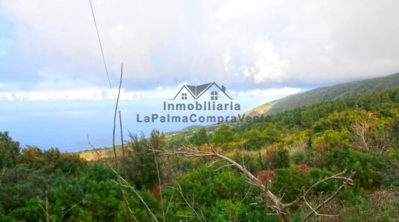Santa Creu de Tenerife - Santo Domingo de Garafía - 4552m2