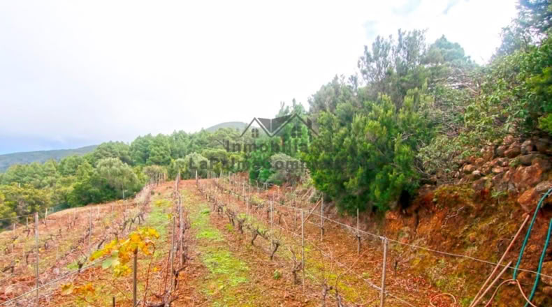 Santa Creu de Tenerife - Santo Domingo de Garafía - 4552m2