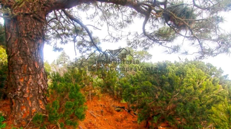 Santa Creu de Tenerife - Santo Domingo de Garafía - 4552m2