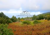 Masia amb terreny en venda a Llano Negro ref.: TR100678 foto