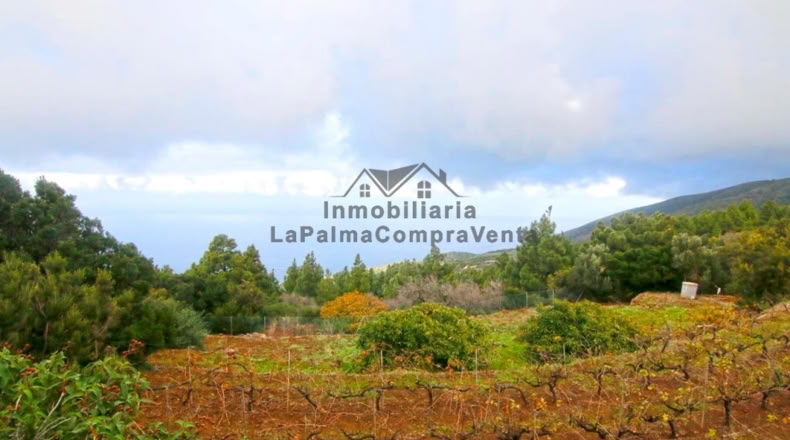 Santa Creu de Tenerife - Santo Domingo de Garafía - 4552m2