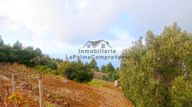 Santa Creu de Tenerife - Santo Domingo de Garafía - 4552m2