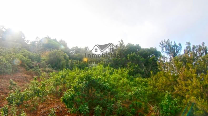 Santa Creu de Tenerife - Santo Domingo de Garafía - 4552m2