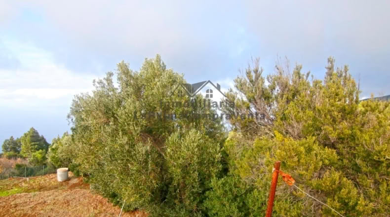 Santa Creu de Tenerife - Santo Domingo de Garafía - 4552m2