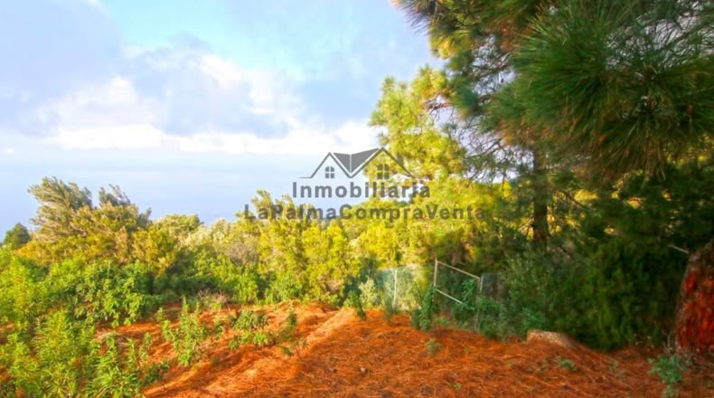 Santa Creu de Tenerife - Santo Domingo de Garafía - 4552m2