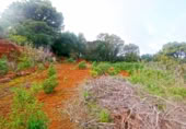 Masia amb terreny en venda a Llano Negro ref.: TR100678 foto