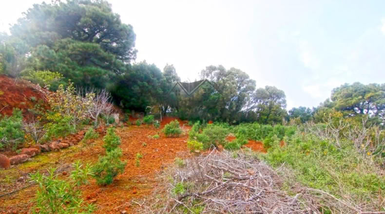 Santa Creu de Tenerife - Santo Domingo de Garafía - 4552m2