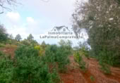 Masia amb terreny en venda a Llano Negro ref.: TR100678 foto