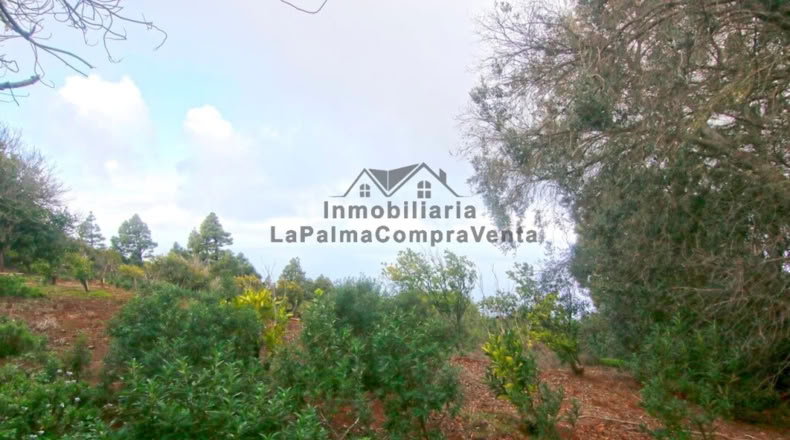 Santa Creu de Tenerife - Santo Domingo de Garafía - 4552m2