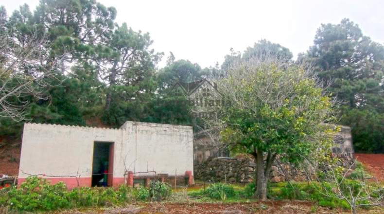 Santa Creu de Tenerife - Santo Domingo de Garafía - 4552m2