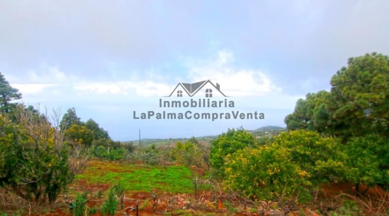 Santa Creu de Tenerife - Santo Domingo de Garafía - 4552m2