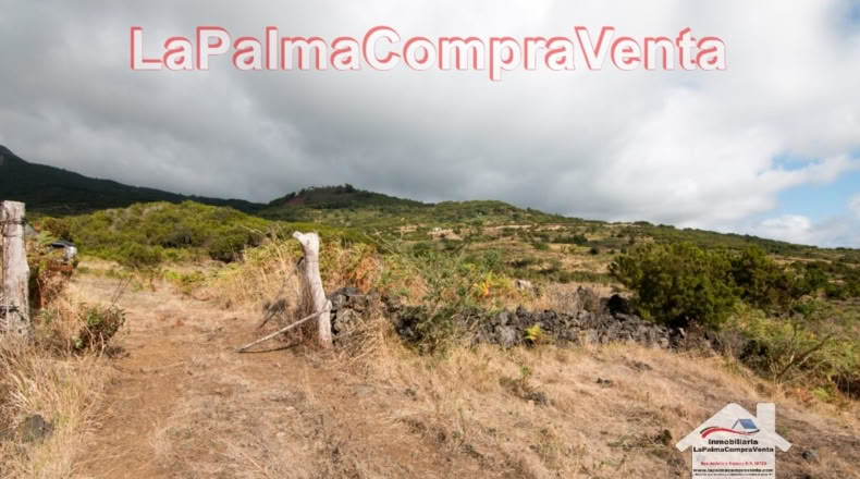 Santa Cruz de Tenerife - Poleal - 10000m2