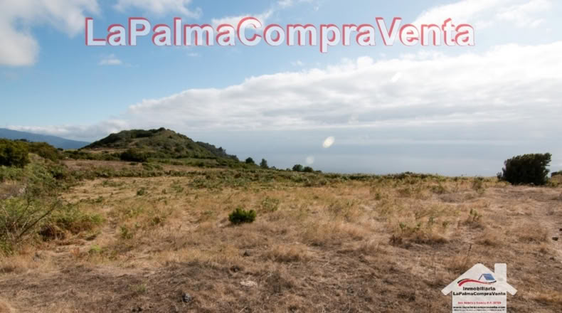 Santa Cruz de Tenerife - Poleal - 10000m2