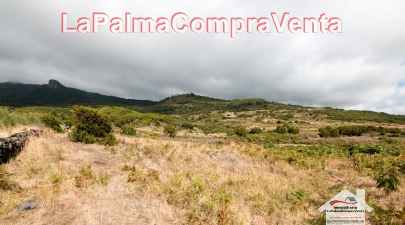 Santa Cruz de Tenerife - Poleal - 10000m2