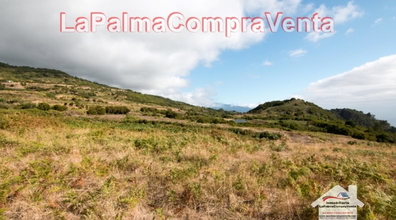 Santa Cruz de Tenerife - Poleal - 10000m2
