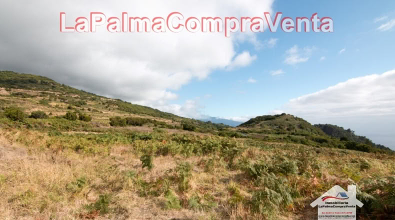 Santa Cruz de Tenerife - Poleal - 10000m2
