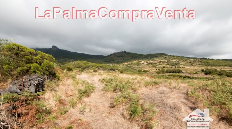 Santa Cruz de Tenerife - Poleal - 10000m2