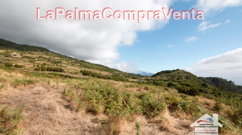 Santa Cruz de Tenerife - Poleal - 10000m2