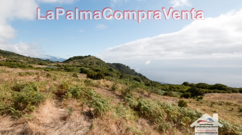 Santa Cruz de Tenerife - Poleal - 10000m2