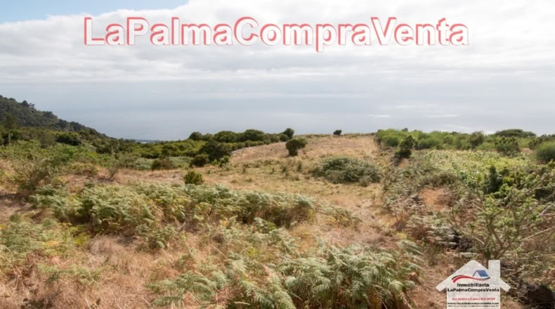 Santa Cruz de Tenerife - Poleal - 10000m2